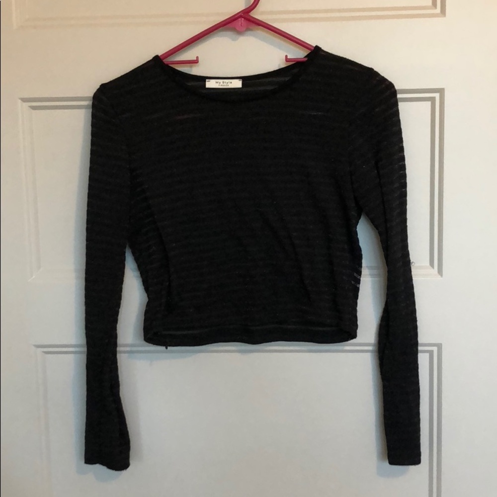 Sheer, long sleeve crop top